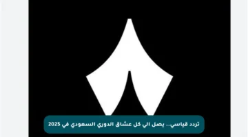 تردد قياسي.. يصل إلى كل عشاق الدوري السعودي في 2025